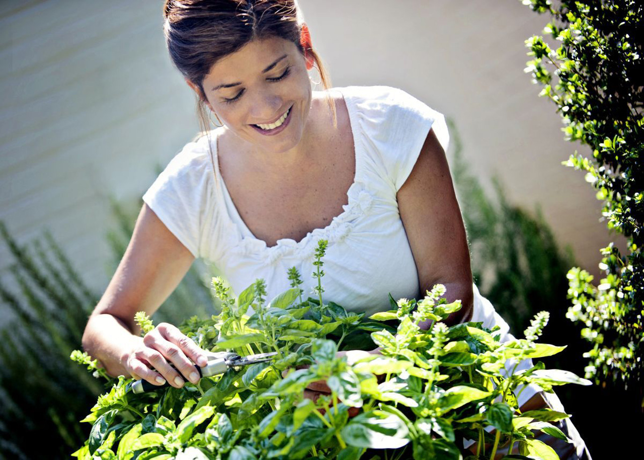 Fresh herbs at your fingertips.